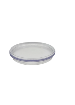 Replacement Lens