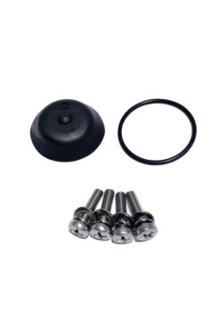 Exhaust Valve Rebuild Kit